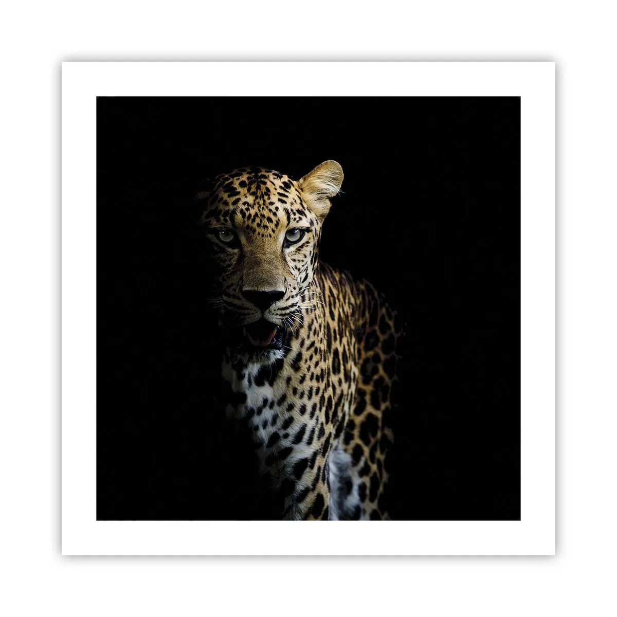 Poster - Bellezza tenebrosa - 50x50 cm