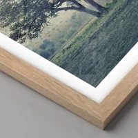 Rovere chiaro