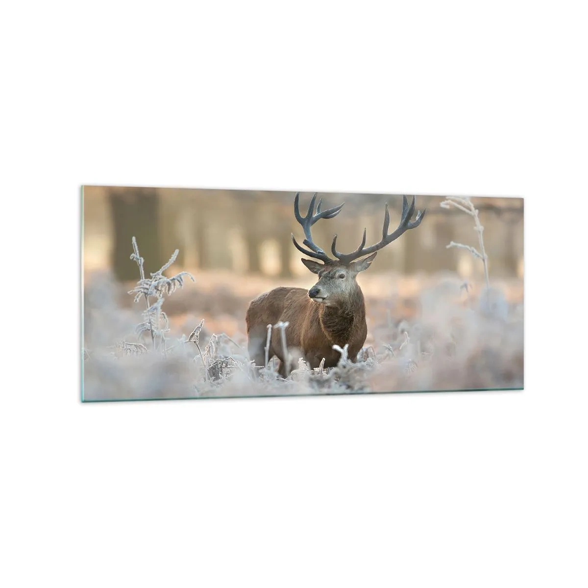 Quadro su vetro - Un cervo in una radura gelida in una foresta invernale dai colori tenui - 120x50cm - Fresco mattino - Decorazione murale moderna per soggiorno e camera da letto ARTTOR