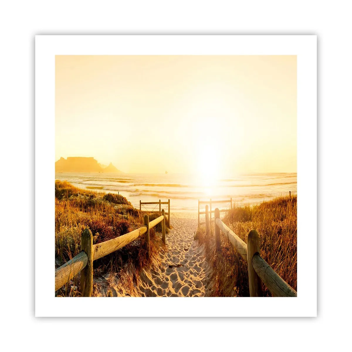 Poster - Attraverso la duna, verso il sole - 50x50 cm