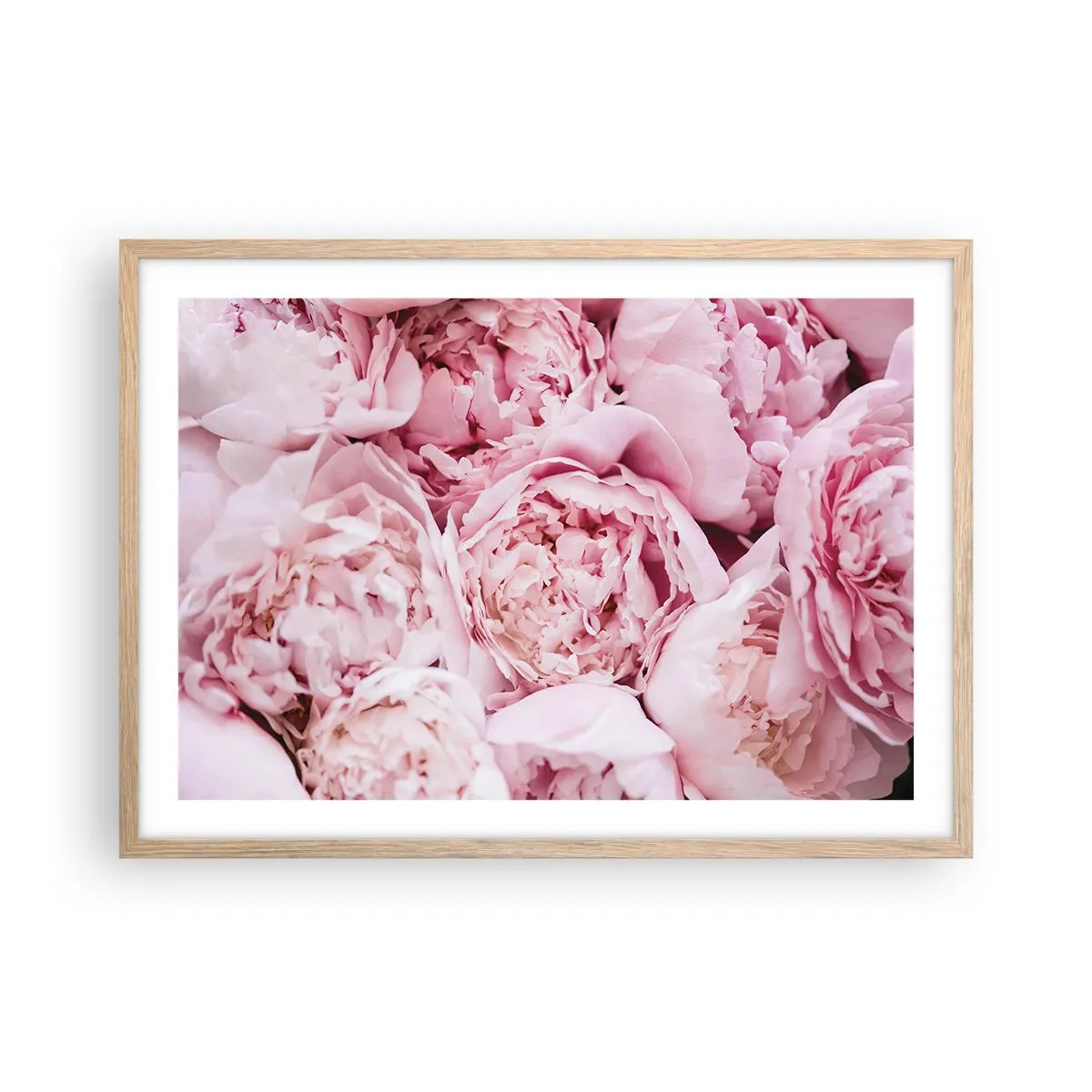 Poster in cornice rovere chiaro - Morbide e profumate - 70x50 cm