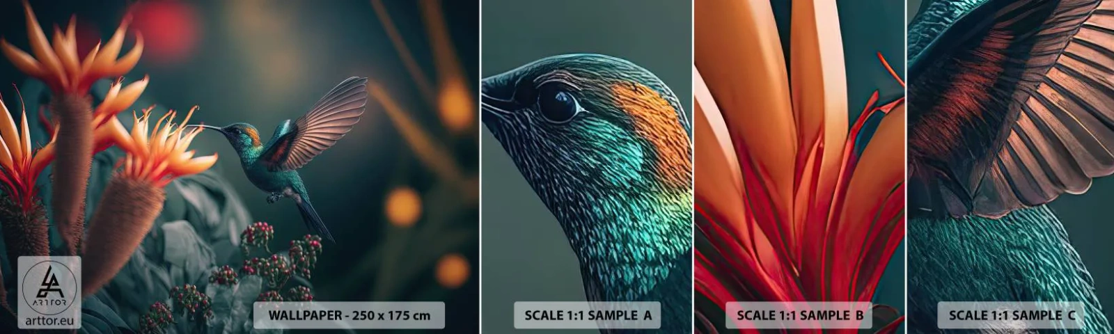 Campione di Fotomurale Adesivo Deluxe Sticker - Una vita davvero a colori - Uccello, Esotico, Fiore - 100x30 cm