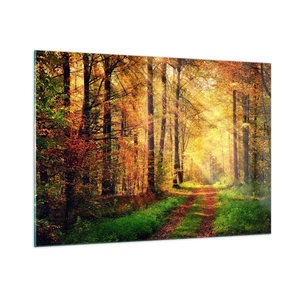 Quadro su vetro - Sentiero autunnale nel bosco con raggi di sole - 100x70cm - Il silenzio d'oro del bosco - Decorazione murale moderna per soggiorno e camera da letto ARTTOR