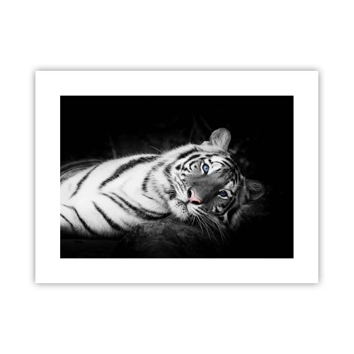 Poster - Selvaggità e pace - 40x30 cm