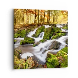 Quadro su tela - Stampe su Tela - Rapido nel bosco autunnale - 30x30 cm