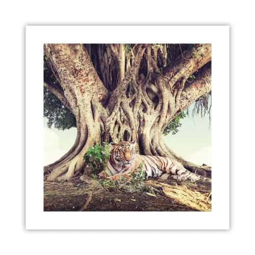 Poster - Vista dal Libro della Genesi - 40x40 cm