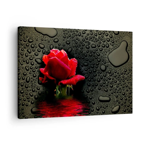 Quadro su tela - Stampe su Tela - Rosa rossa con gocce d'acqua su sfondo scuro - 70x50cm - Rosso e nero - Decorazione murale moderna per soggiorno e camera da letto ARTTOR
