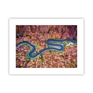 Poster - Via tortuosa attraverso il bosco - 40x30 cm