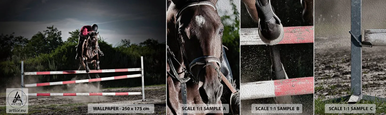 Campione di Fotomurale Premium Sand - Insieme fino alla vittoria - Animali, Cavallo, Sport - 100x30 cm