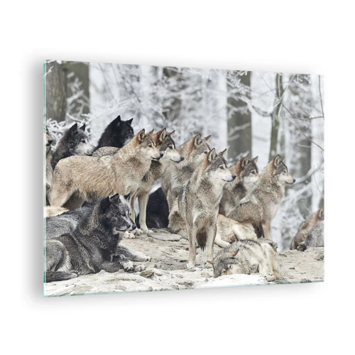 Quadro su vetro - Un branco di lupi nella foresta invernale - 70x50cm - Famiglia e amici - Decorazione murale moderna per soggiorno e camera da letto ARTTOR