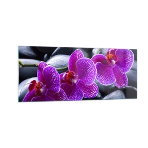 Quadro su vetro - Le pietre brillano di ammirazione - 100x40 cm