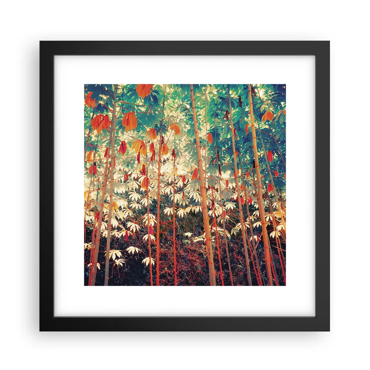 Poster in cornice nera - La vita segreta delle foglie - 30x30 cm