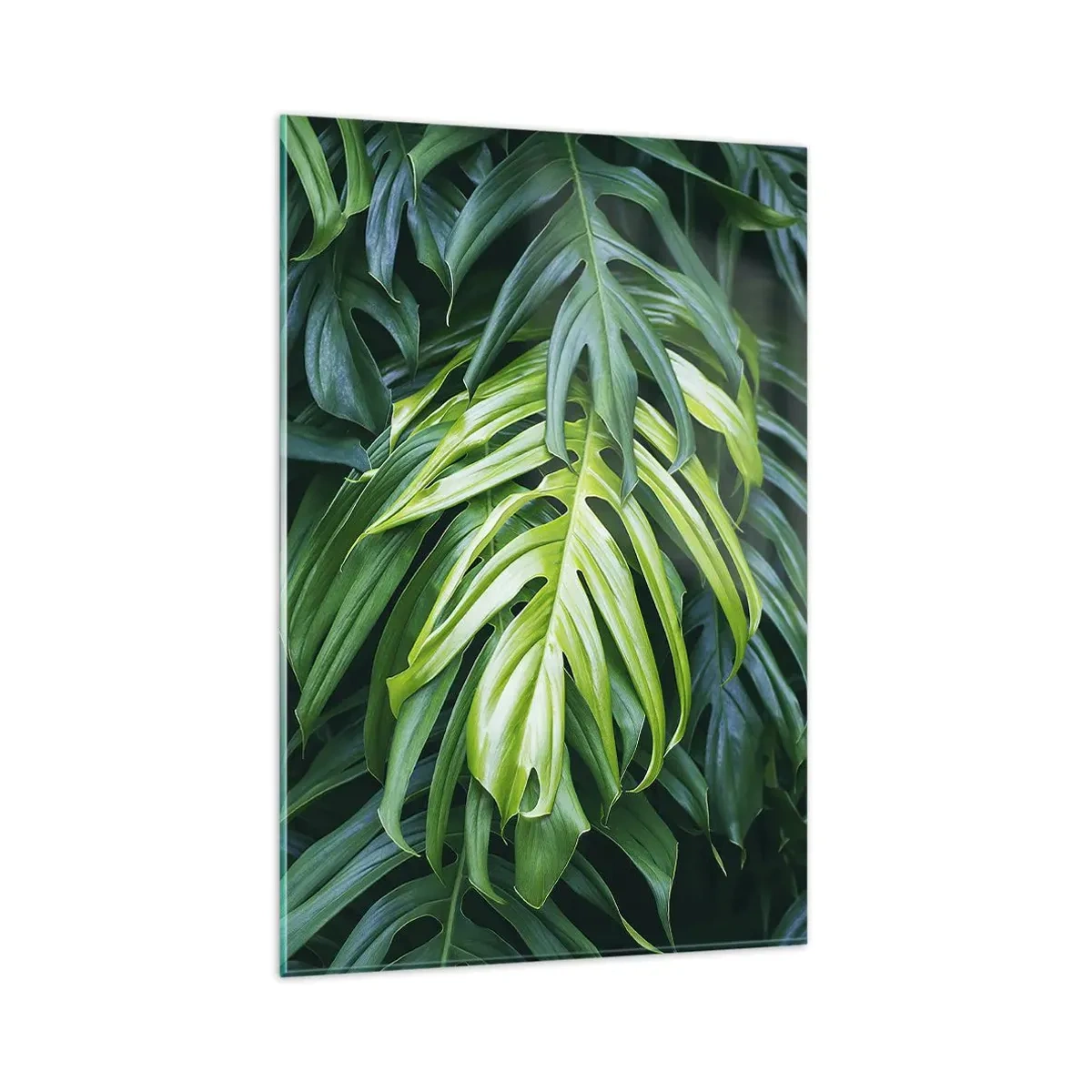 Quadro su vetro - Foglie verdi in una fitta disposizione tropicale - 80x120cm - Immergersi nella freschezza - Decorazione murale moderna per soggiorno e camera da letto ARTTOR