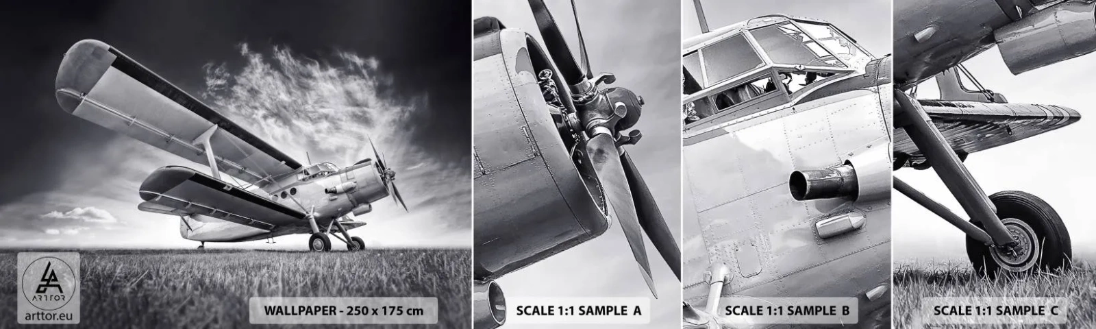 Campione di Fotomurale Adesivo Deluxe Sticker - Giramondo alato - Aereo, Aereo, Bianco e nero - 100x30 cm