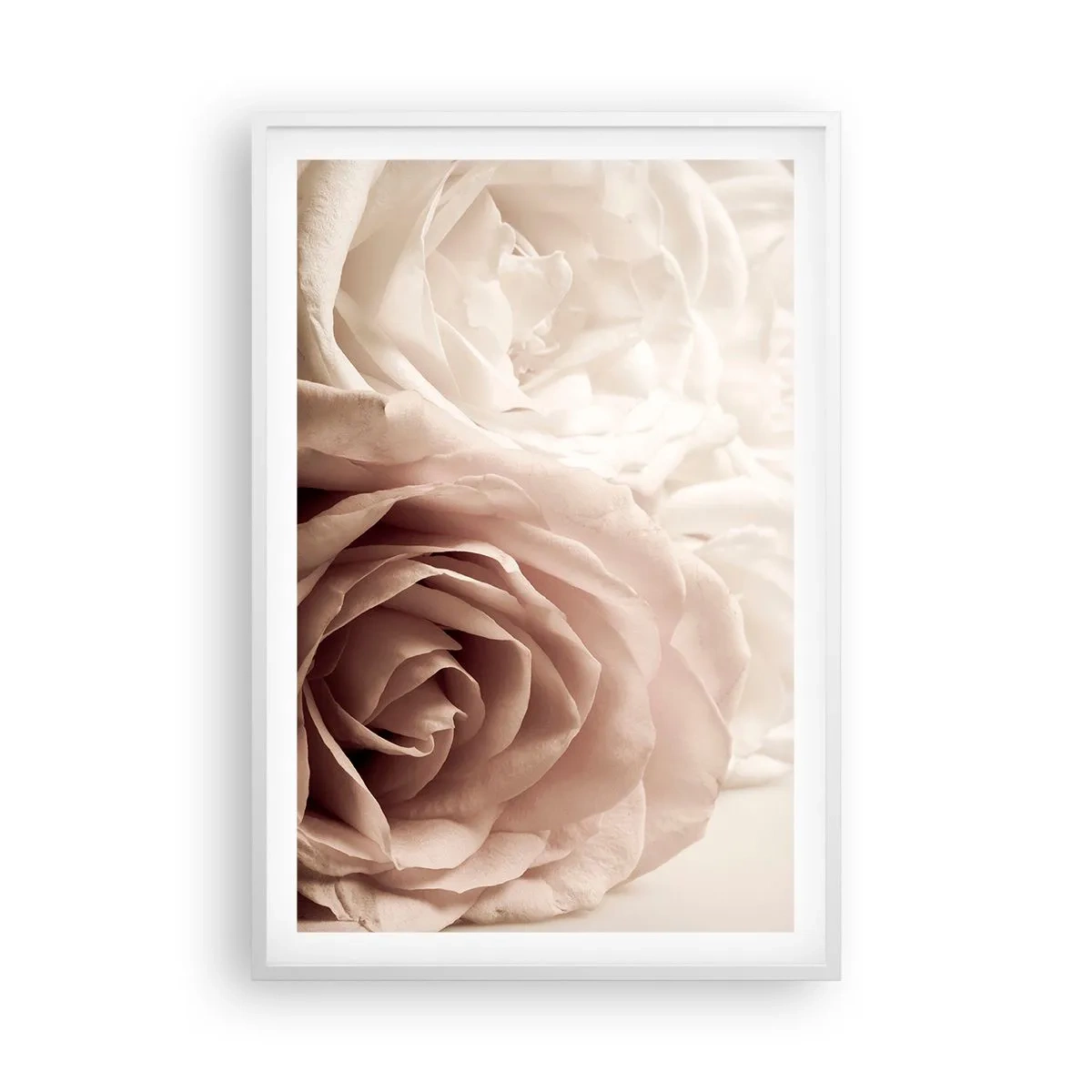 Poster in cornice bianca - Nel cuore della rosa - 61x91 cm
