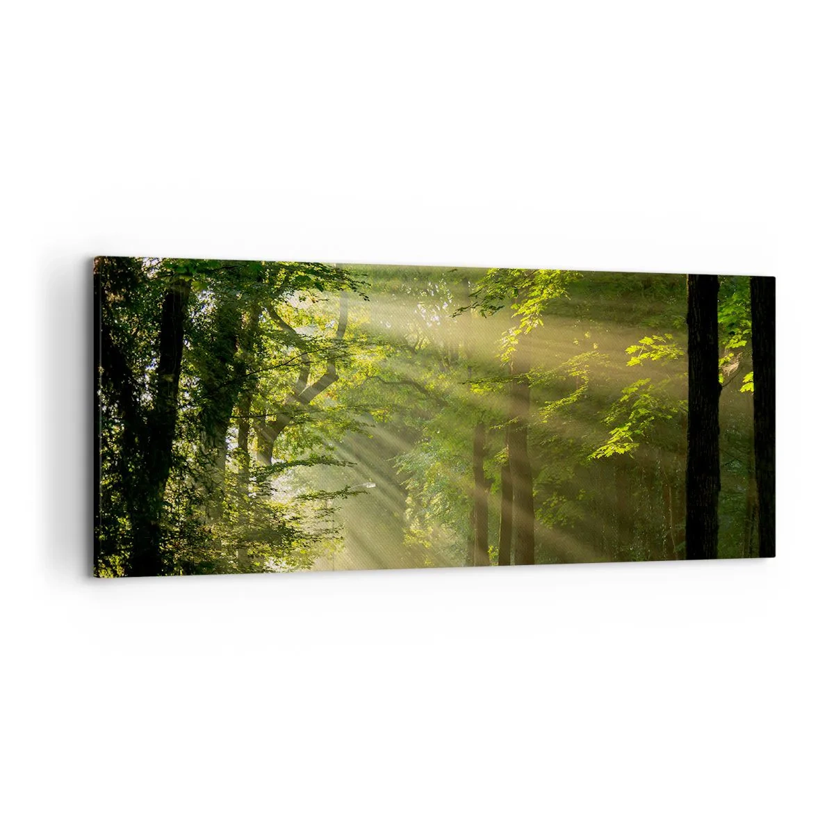 Quadro su tela - Stampe su Tela - Sentiero nel bosco con raggi di sole che brillano attraverso gli alberi - 120x50cm - Un attimo nel bosco - Decorazione murale moderna per soggiorno e camera da letto ARTTOR
