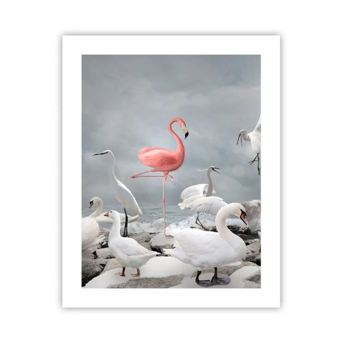 Poster - Come sono arrivato qui? - 40x50 cm