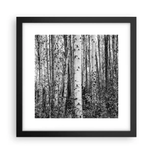Poster in cornice nera - Colonnato di betulle - 30x30 cm