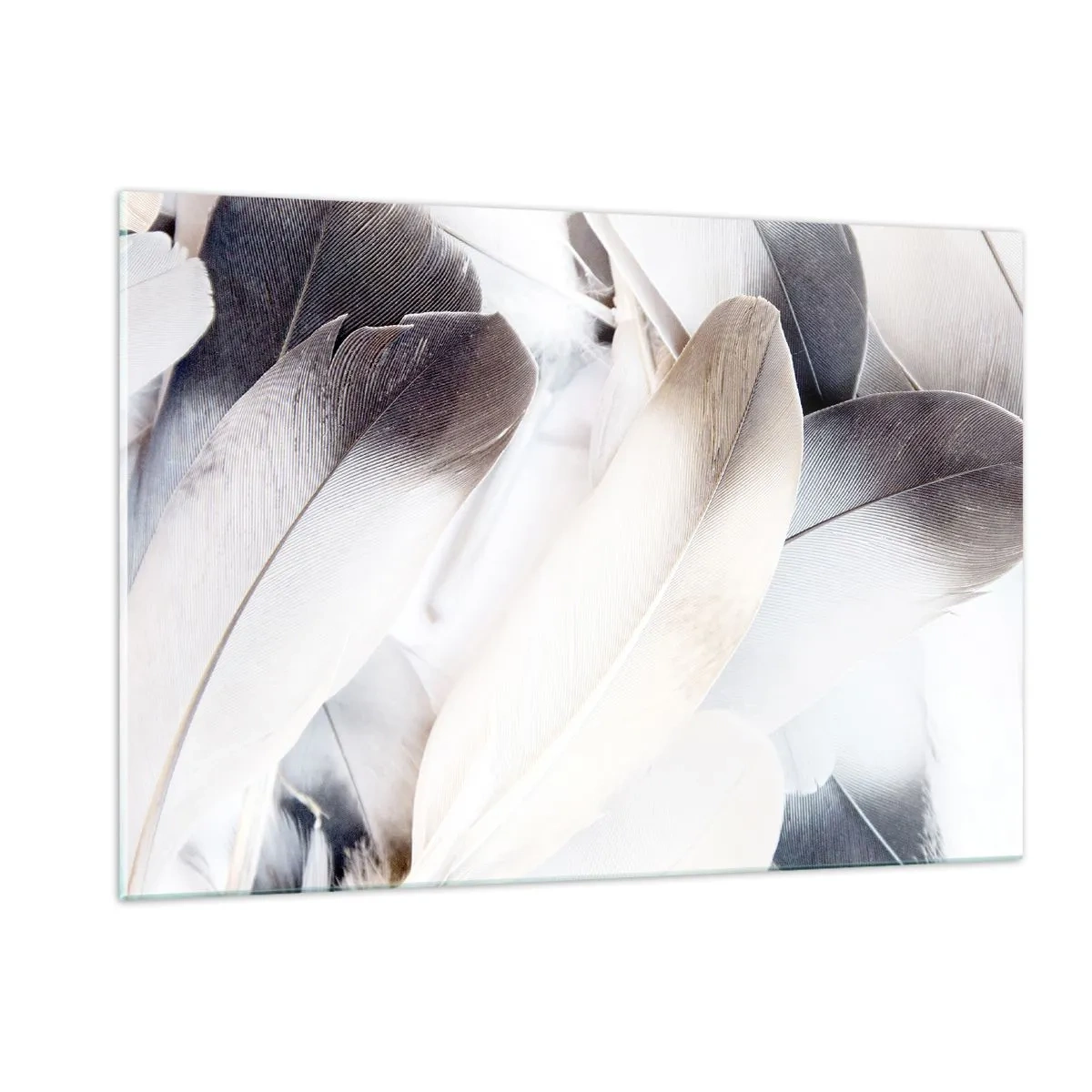Quadro su vetro - Piume delicate e leggere nei toni del bianco e del grigio - 120x80cm - Quasi angeliche - Decorazione murale moderna per soggiorno e camera da letto ARTTOR