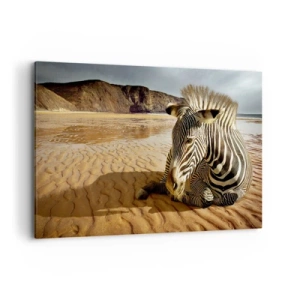Quadro su tela - Stampe su Tela - Una zebra che riposa su una spiaggia sabbiosa con scogliere sullo sfondo. - 120x80cm - Fatti l'uno per l'altra - Decorazione murale moderna per soggiorno e camera da letto ARTTOR