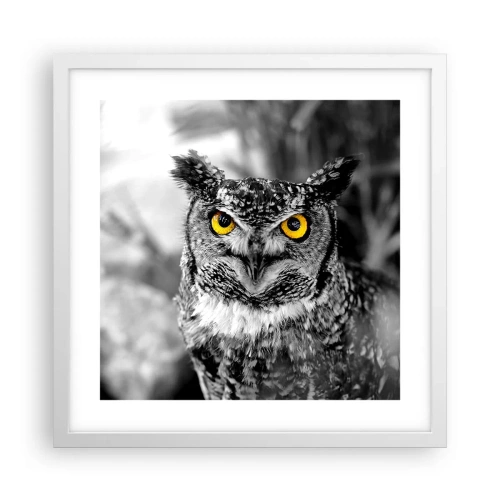 Poster in cornice bianca - Non si può nascondere niente - 40x40 cm