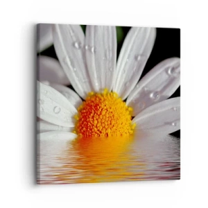 Quadro su tela - Stampe su Tela - L'alba della margherita - 30x30 cm
