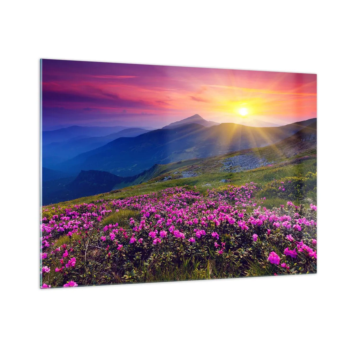 Quadro su vetro - Prati fioriti in montagna all'alba - 100x70cm - Odore di mugo e profumo di erbe - Decorazione murale moderna per soggiorno e camera da letto ARTTOR
