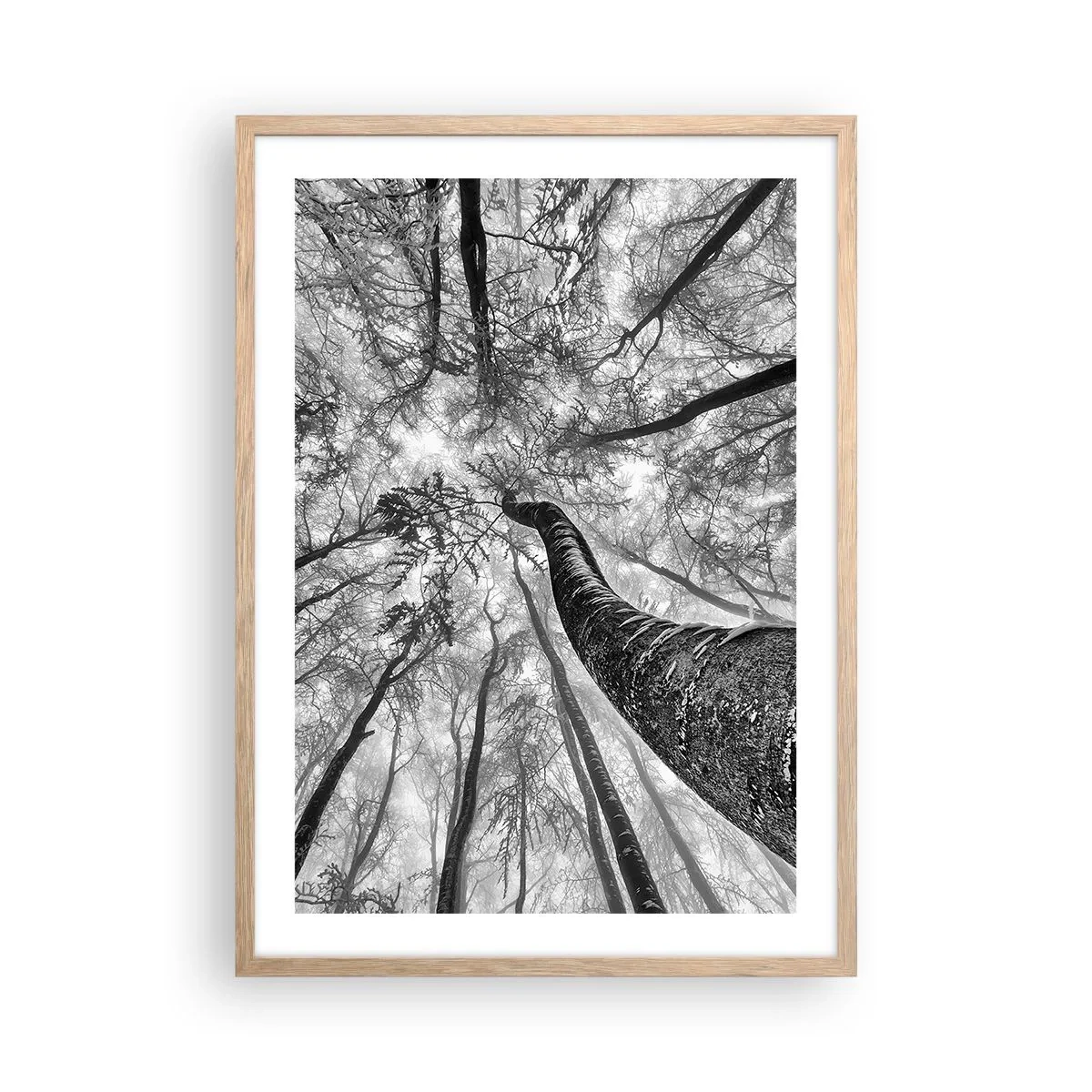 Poster in cornice rovere chiaro - La corsa verso la luce - 50x70 cm