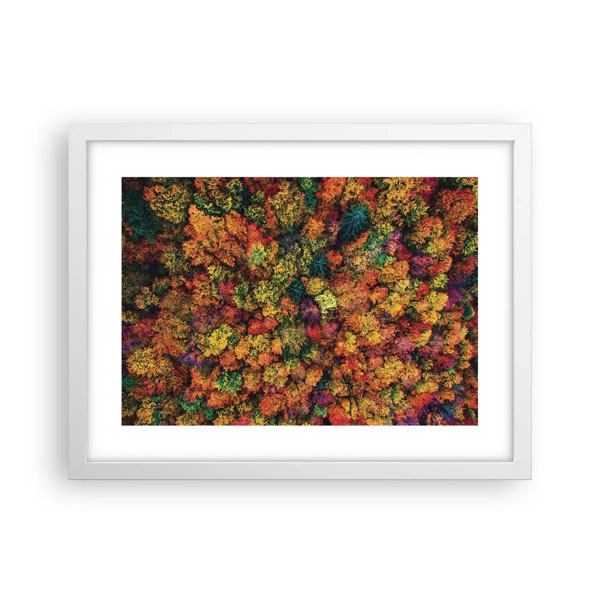 Poster in cornice bianca - Il bouquet degli alberi d'autunno - 40x30 cm