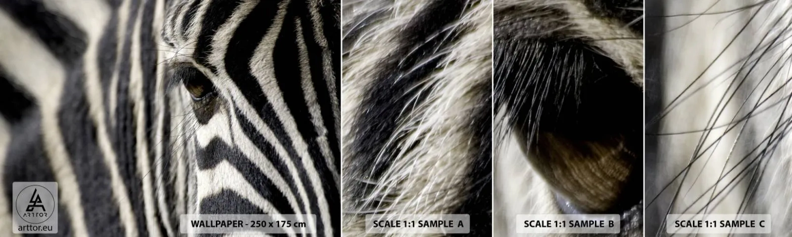 Campione Di Fotomurale Standard Eco - Ritratto a strisce - Animali, Costolette, Africa - 100x30 cm