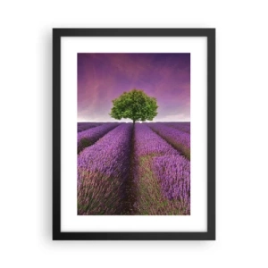 Poster in cornice nera - Sui campi di lavanda - 30x40 cm