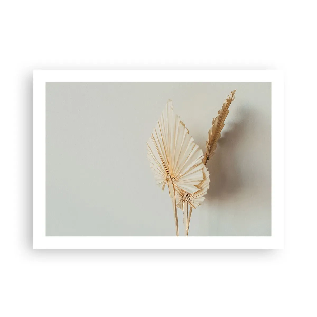 Poster - Quando serve il sollievo - 70x50 cm