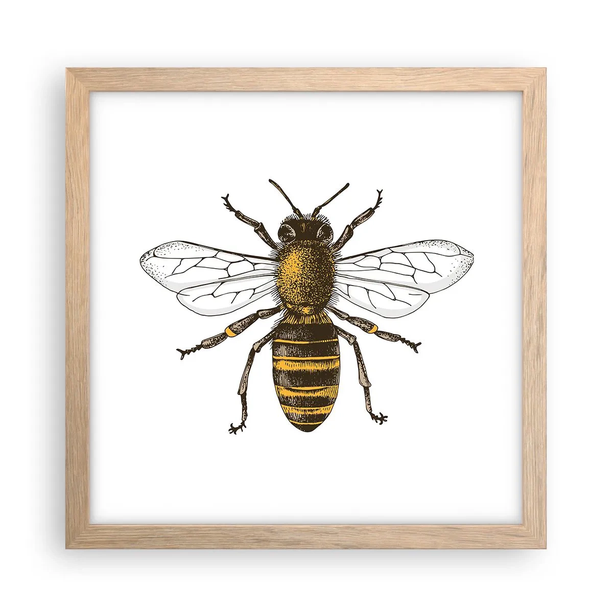 Poster in cornice rovere chiaro - Bella e buona - 30x30 cm