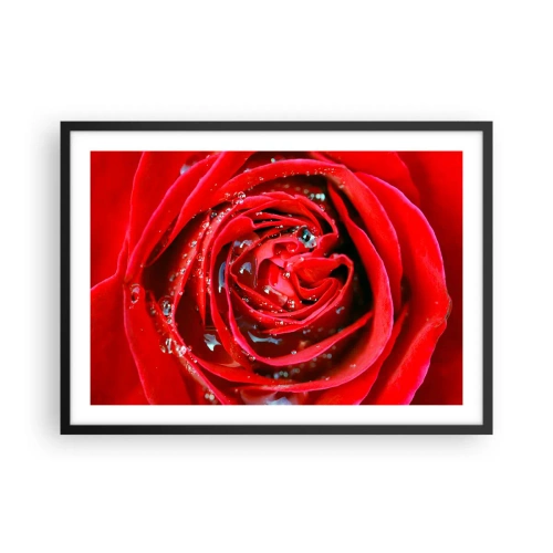 Poster in cornice nera - Primo piano di una rosa rossa con gocce d'acqua sui petali - 70x50cm - Nelle gocce della rugiada - Decorazione murale moderna per soggiorno e camera da letto ARTTOR