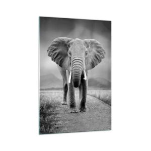 Quadro su vetro - Un possente elefante nella savana in toni monocromatici - 70x100cm - Il padrone di casa dà il benvenuto - Decorazione murale moderna per soggiorno e camera da letto ARTTOR