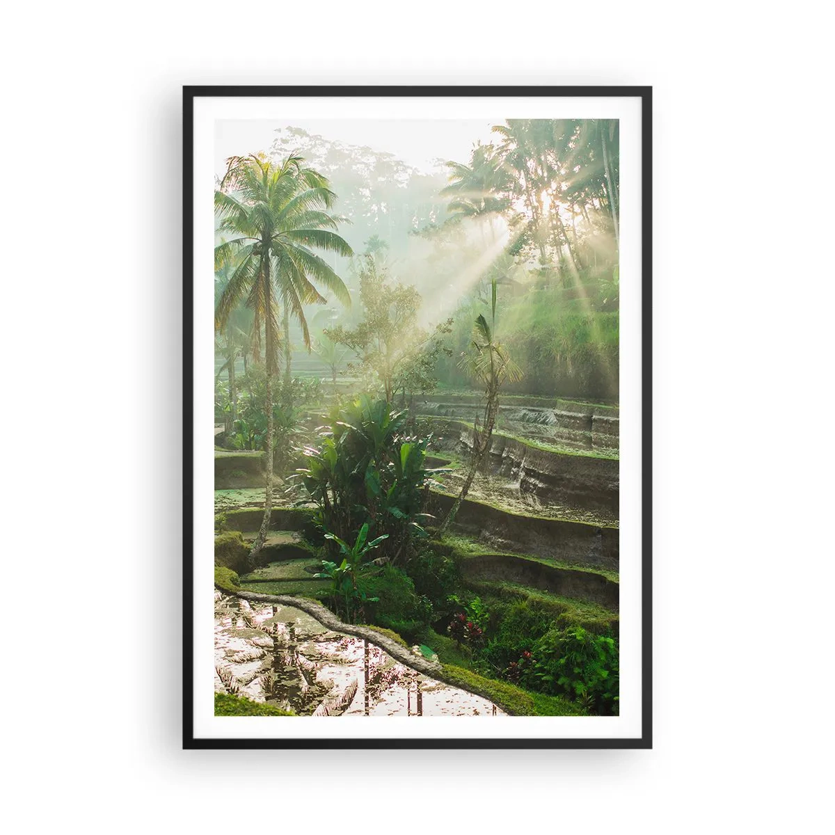 Poster in cornice nera - Crescere al sole - 70x100 cm