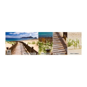 Campione di Fotomurale Premium Sand - Portami alle isole fortunate - Paesaggio, Spiaggia, Madera - 100x30 cm