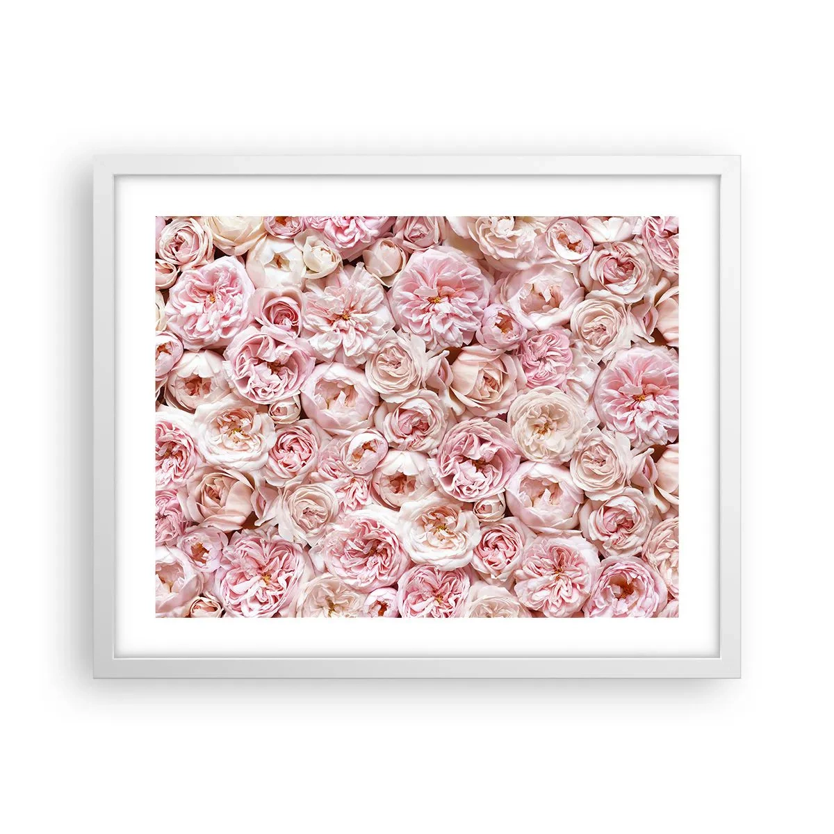 Poster in cornice bianca - Coperto di rose - 50x40 cm