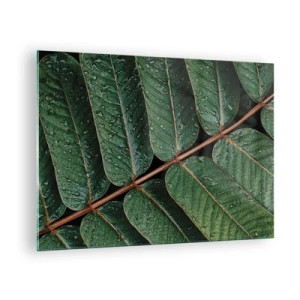 Quadro su vetro - Primo piano di foglie verdi con gocce d'acqua - 70x50cm - Al ritmo verde - Decorazione murale moderna per soggiorno e camera da letto ARTTOR