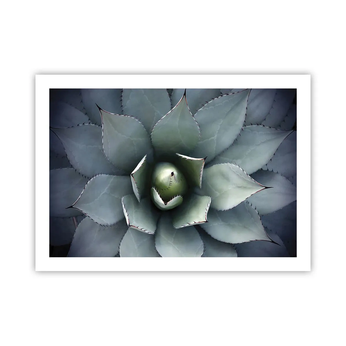 Poster - Adesca e minaccia - 70x50 cm