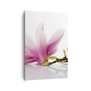 Quadro su tela - Stampe su Tela - Delicate magnolie rosa su sfondo bianco - 70x100cm - Delicati come un soffio di primavera - Decorazione murale moderna per soggiorno e camera da letto ARTTOR