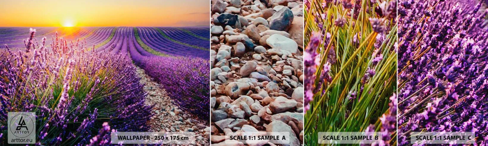Campione di Fotomurale Adesivo Deluxe Sticker - Campo profumato - Paesaggio, Campo di lavanda, Provenza - 100x30 cm