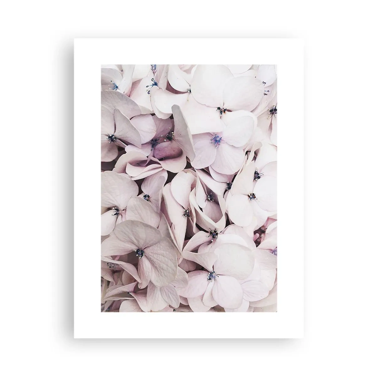 Poster - Un'alluvione di fiori - 30x40 cm