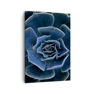 Quadro su tela - Stampe su Tela - Primo piano di una rosetta succulenta verde - 50x70cm - Fiore del deserto - Decorazione murale moderna per soggiorno e camera da letto ARTTOR