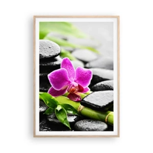 Poster in cornice rovere chiaro - Un tranquillo equilibrio - 70x100 cm