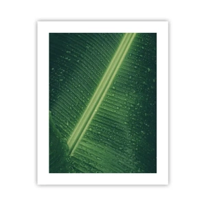 Poster - La struttura del verde - 40x50 cm