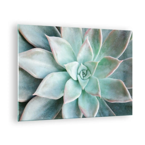 Quadro su vetro - Foglie succulente secche con una delicata tonalità grigio-verde - 70x50cm - Il cuore del deserto - Decorazione murale moderna per soggiorno e camera da letto ARTTOR