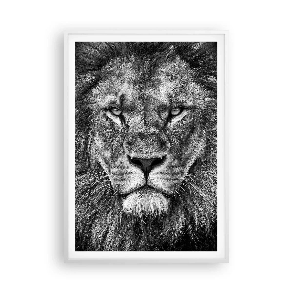 Poster in cornice bianca - Nell'abito dell'incoronazione - 70x100 cm