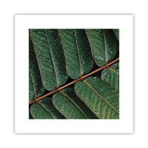 Poster - Al ritmo verde - 30x30 cm