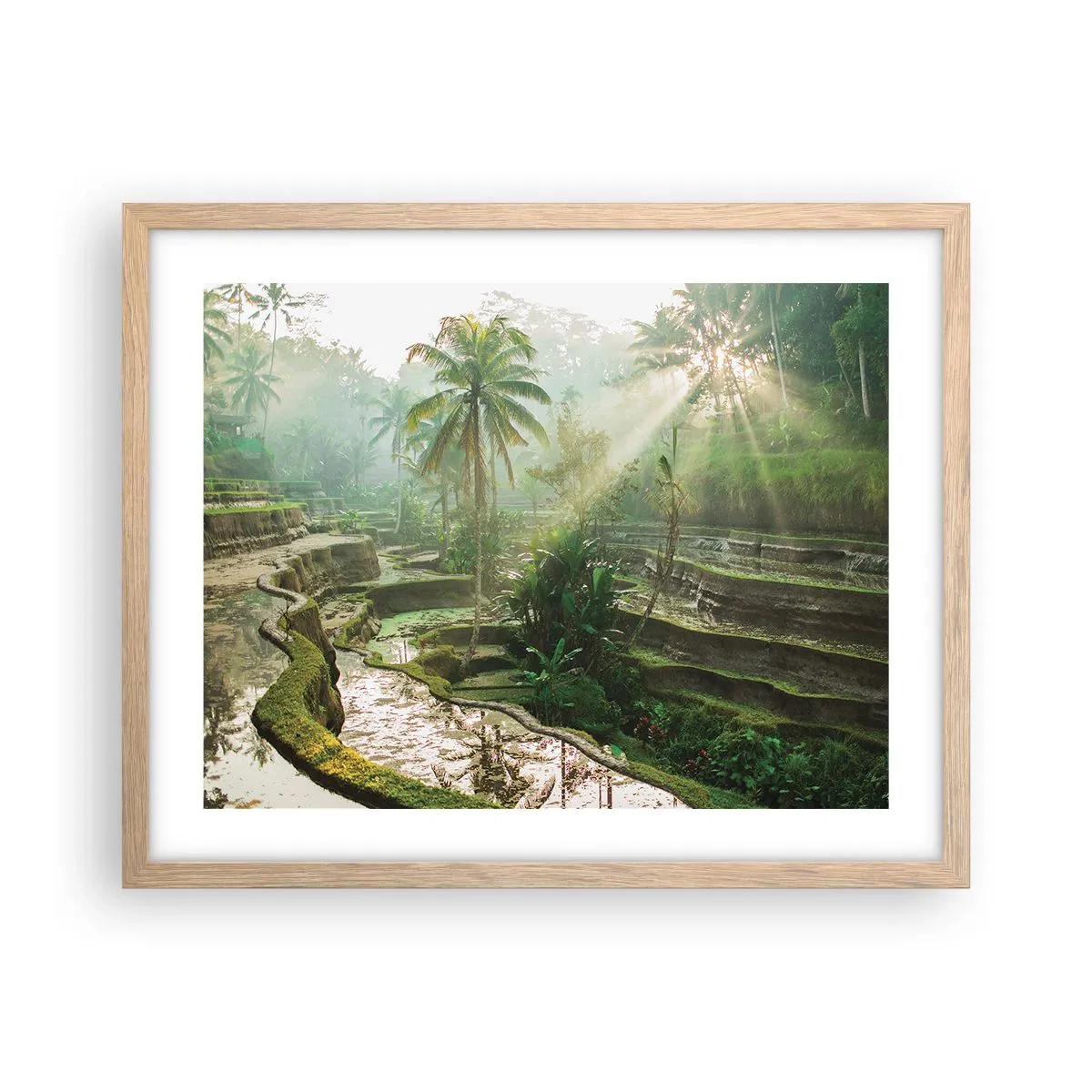 Poster in cornice rovere chiaro - Crescere al sole - 50x40 cm